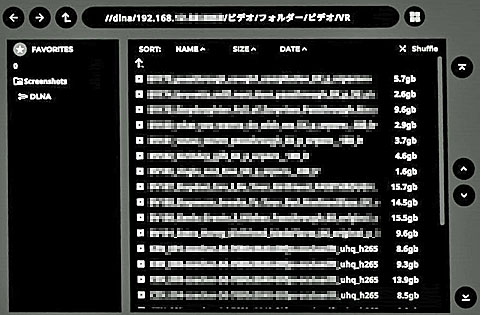 共有フォルダに保存されているVR動画のリスト