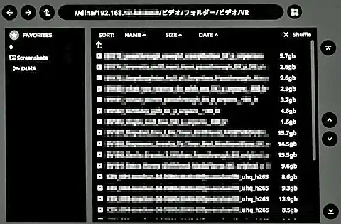 共有フォルダに保存されているVR動画のリスト