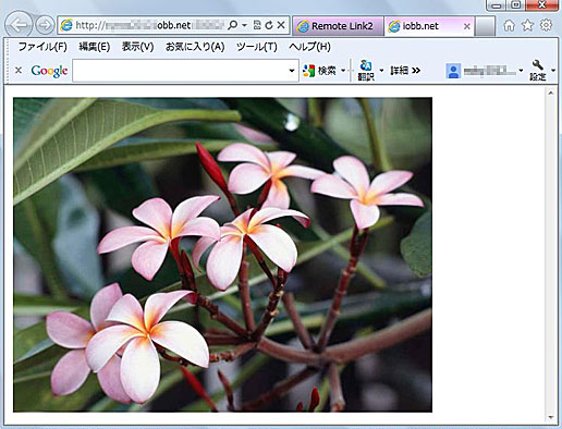 画像(写真)の再生