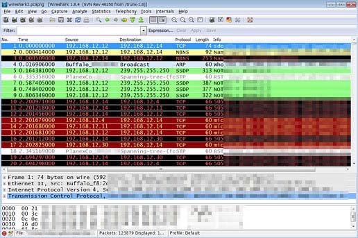 Wiresharkのキャプチャ画面（旧バージョン）